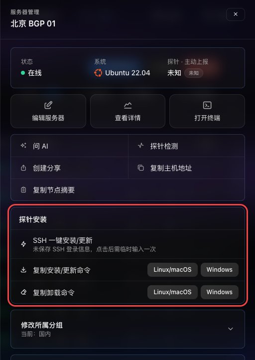 服务器操作面板：常用操作与探针安装